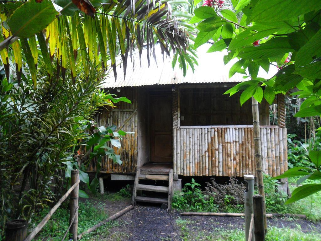 Las Luciernagas Hotel Mindo Exterior photo